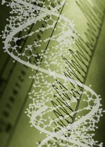 DNA