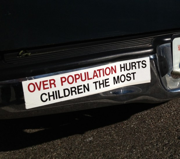 IMG_1991 - Version 2 copy